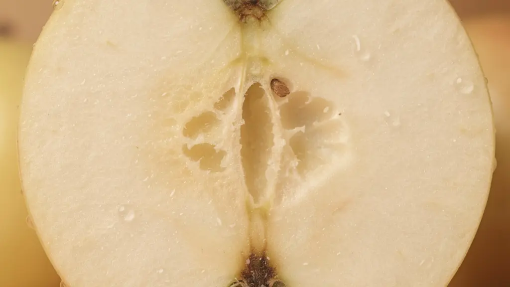 Vue macro de la chair de pomme montrant les structures cellulaires riches en polyphénols