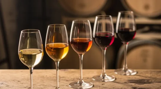 Dégustation de différents vins avec verres éclairés par une lumière dorée montrant les nuances de couleurs