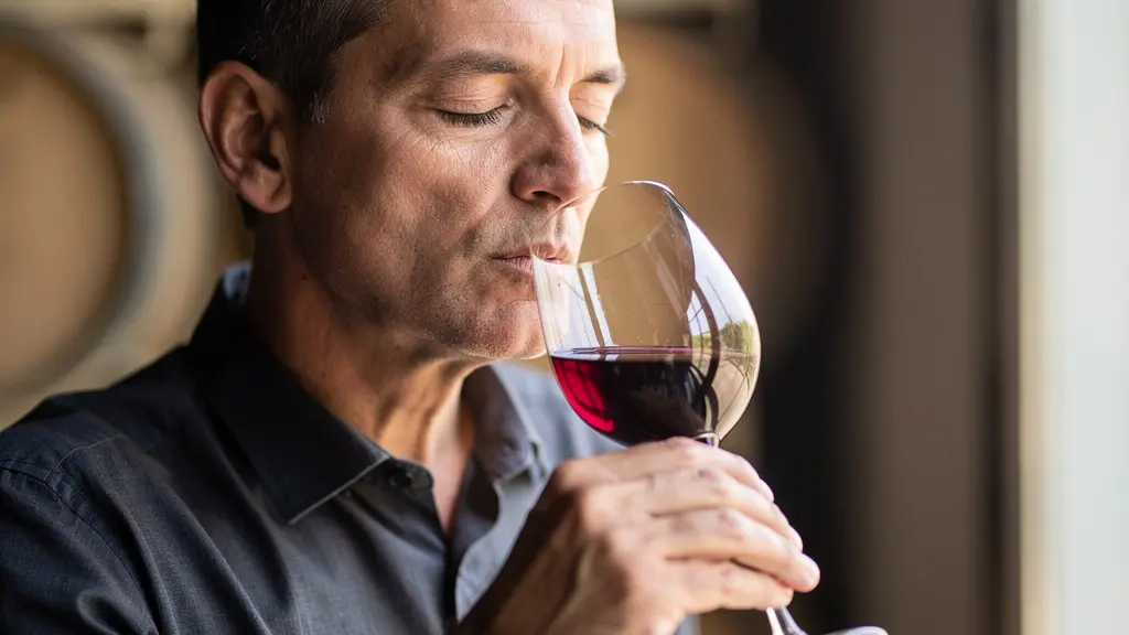 Expert en dégustation analysant un vin rouge dans un verre tulipe avec lumière naturelle douce